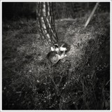 dailyPhoto2